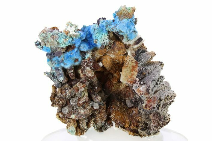 Vibrant Blue Cyanotrichite with Cubic Fluorite - China #277285